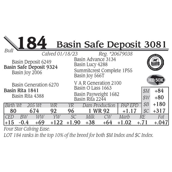 Basin Safe Deposit 3081