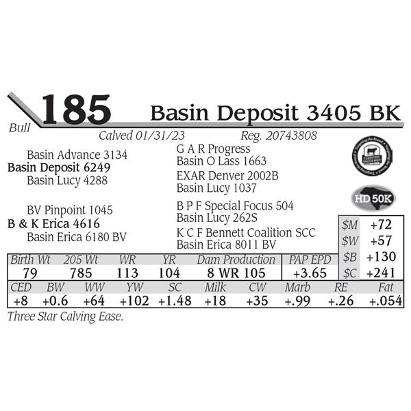 Basin Deposit 3405 BK