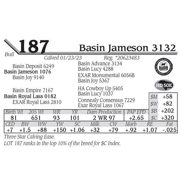 Basin Jameson 3132