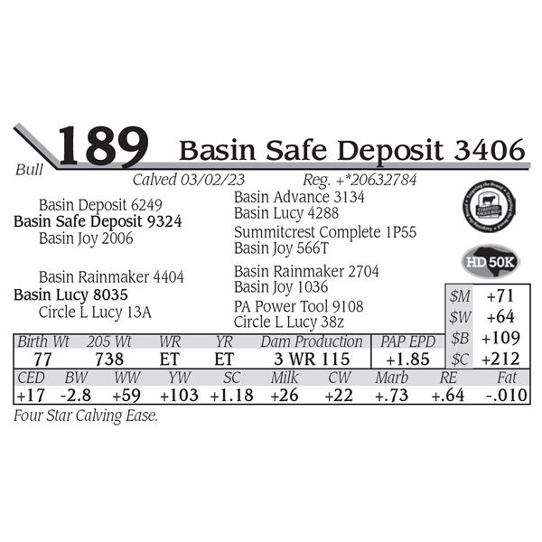 Basin Safe Deposit 3406