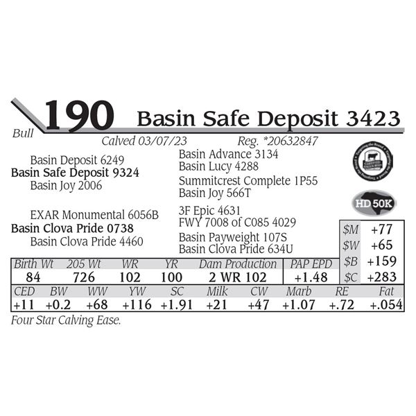 Basin Safe Deposit 3423