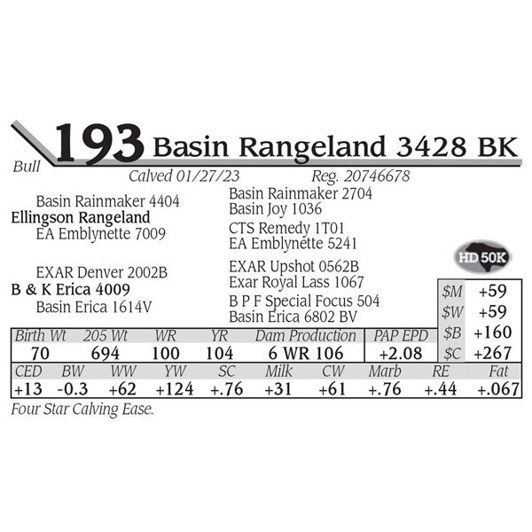 Basin Rangeland 3428 BK