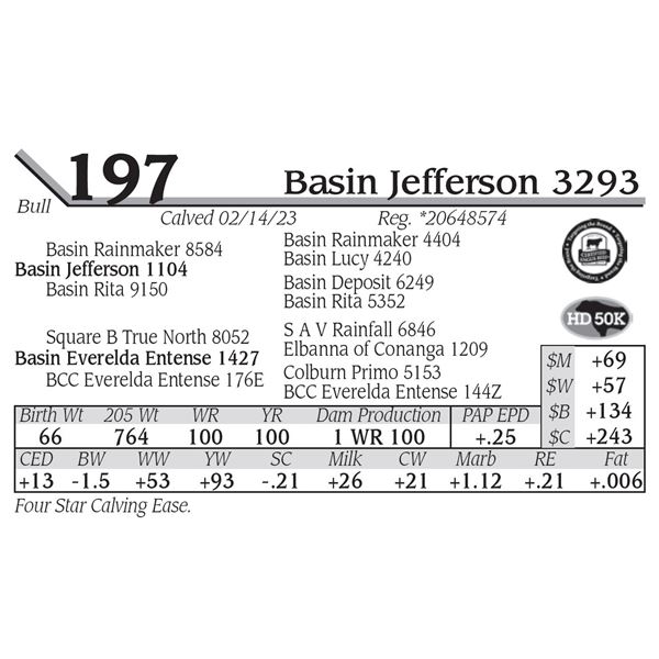 Basin Jefferson 3293
