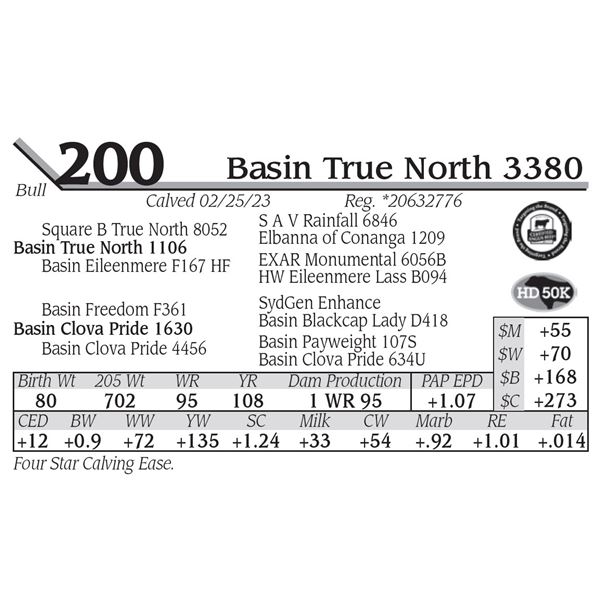 Basin True North 3380