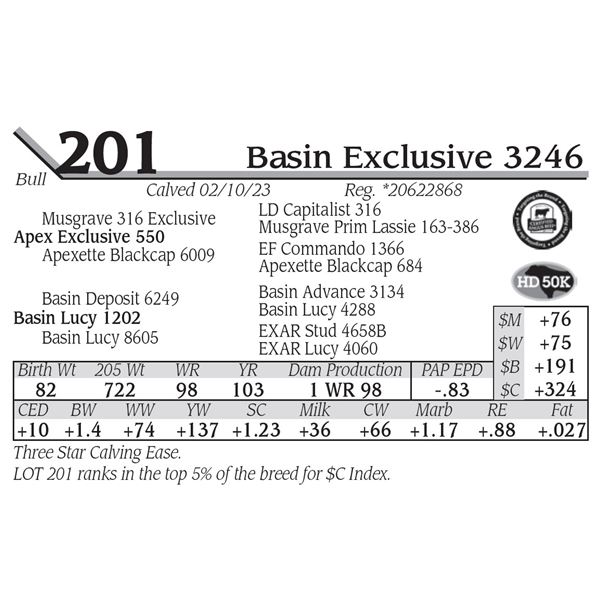 Basin Exclusive 3246