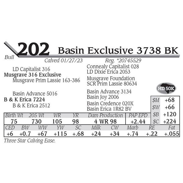 Basin Exclusive 3738 BK