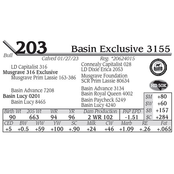 Basin Exclusive 3155