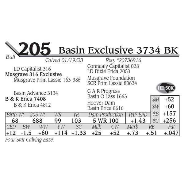 Basin Exclusive 3734 BK