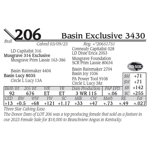 Basin Exclusive 3430