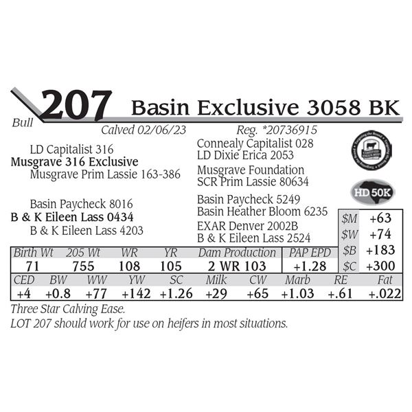 Basin Exclusive 3058 BK