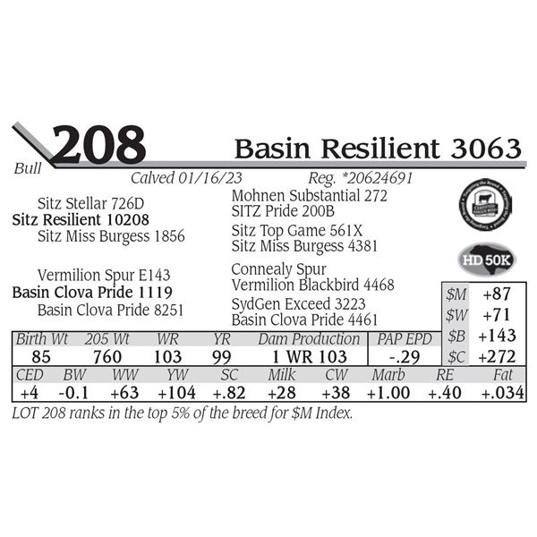 Basin Resilient 3063