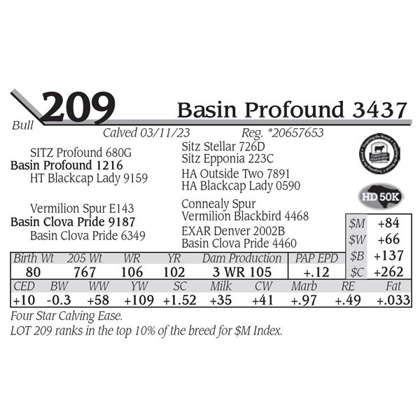 Basin Profound 3437