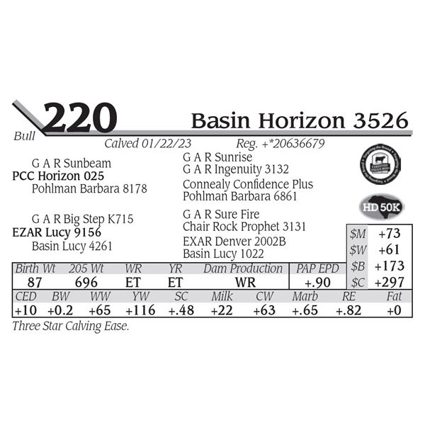 Basin Horizon 3526
