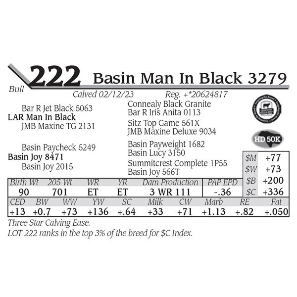 Basin Man In Black 3279