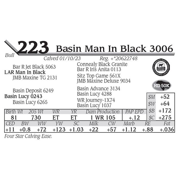 Basin Man In Black 3006