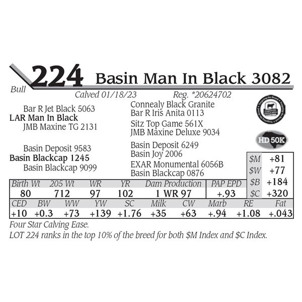 Basin Man In Black 3082