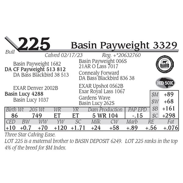 Basin Payweight 3329