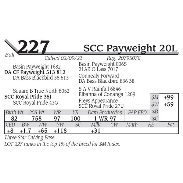 SCC Payweight 20L