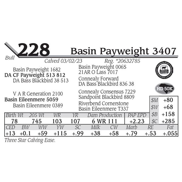 Basin Payweight 3407