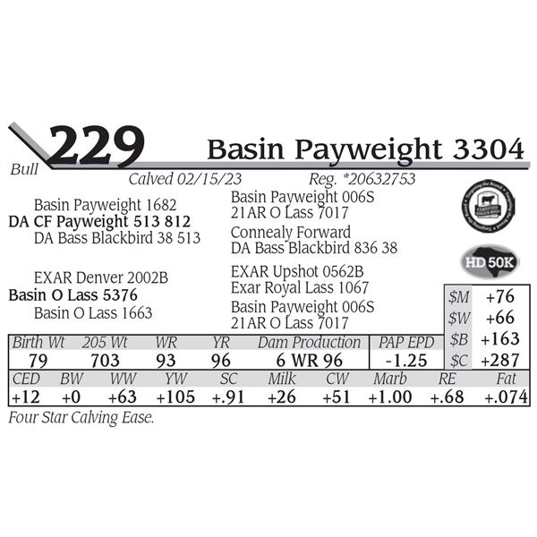 Basin Payweight 3304