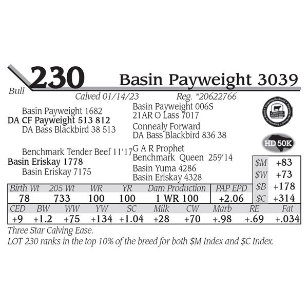 Basin Payweight 3039