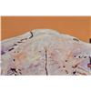 Image 4 : Buffalo Skull Gilbert Duran Original Oil On Canvas