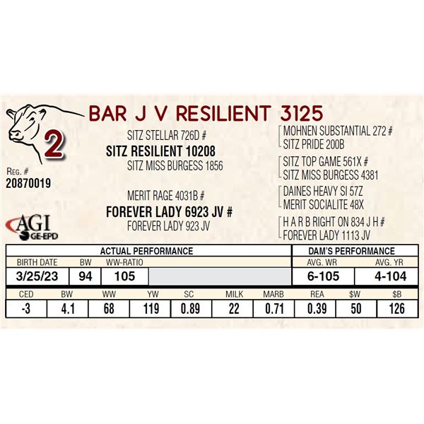 BAR J V RESILIENT 3125