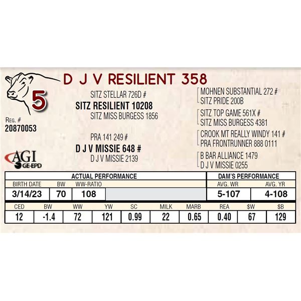 D J V RESILIENT 358