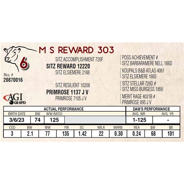 M S REWARD 303