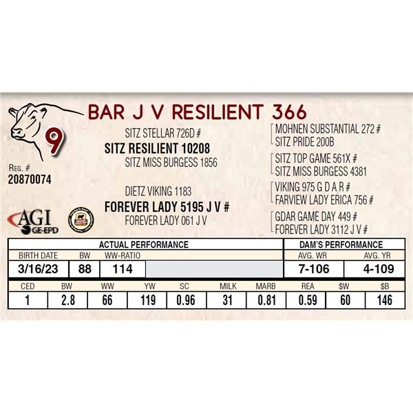 BAR J V RESILIENT 366