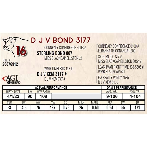 D J V BOND 3177