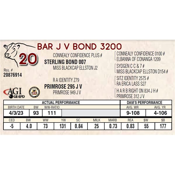 BAR J V BOND 3200