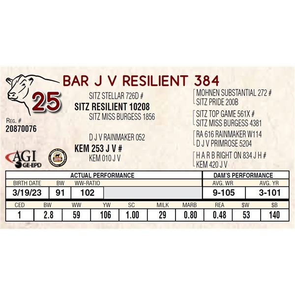 BAR J V RESILIENT 384