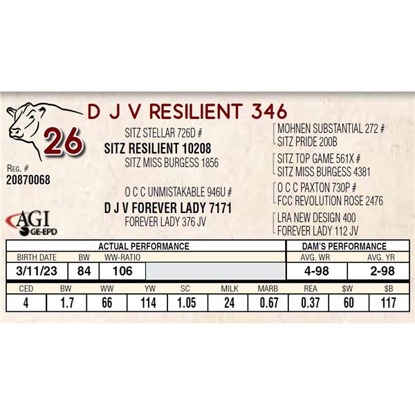 D J V RESILIENT 346