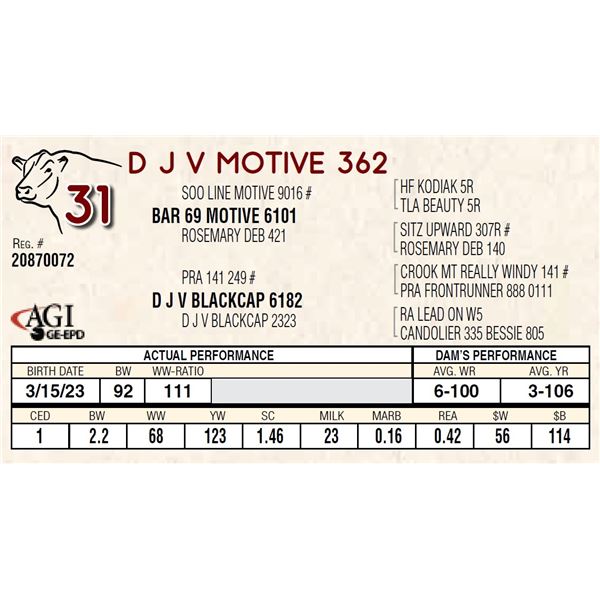 D J V MOTIVE 362