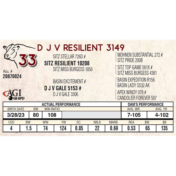 D J V RESILIENT 3149