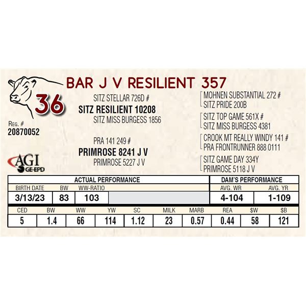 BAR J V RESILIENT 357