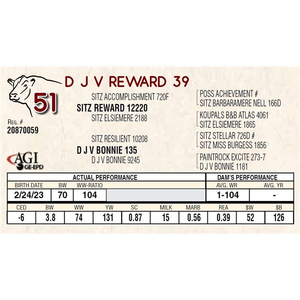 D J V REWARD 39