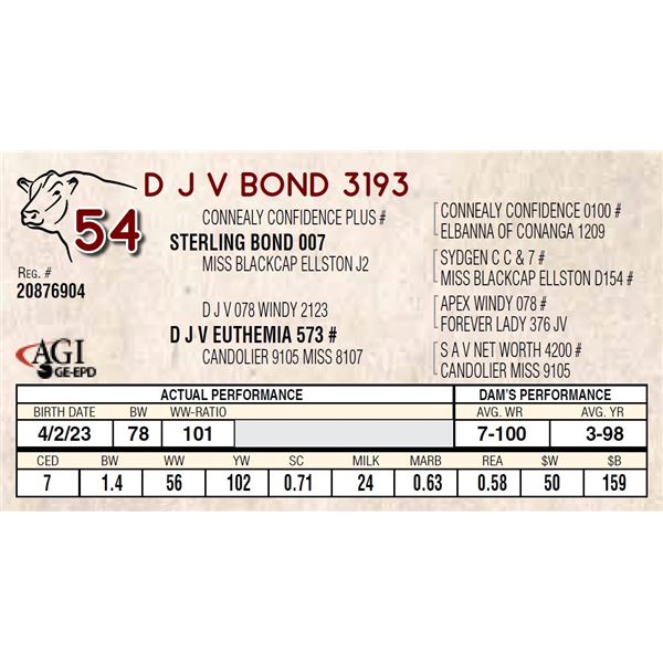 D J V BOND 3193