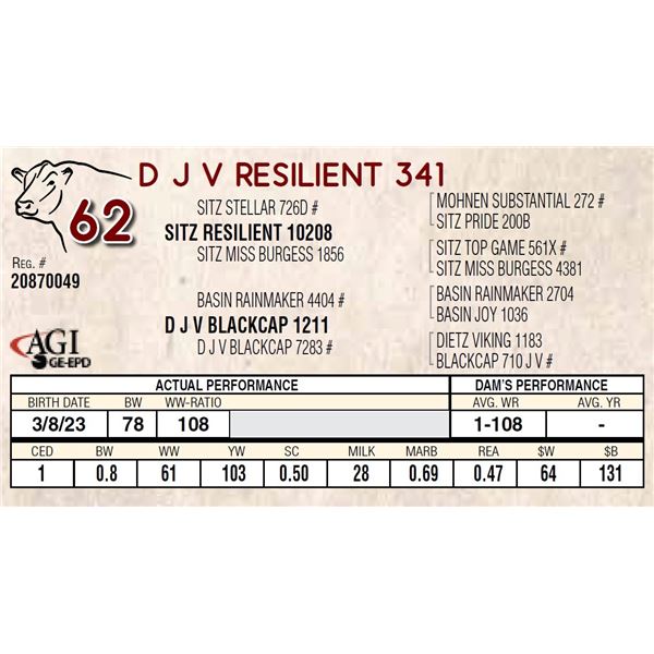 D J V RESILIENT 341