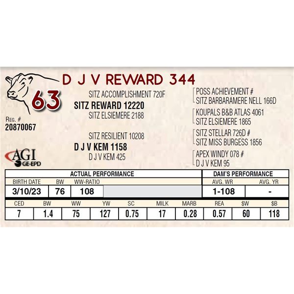 D J V REWARD 344