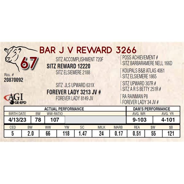 BAR J V REWARD 3266