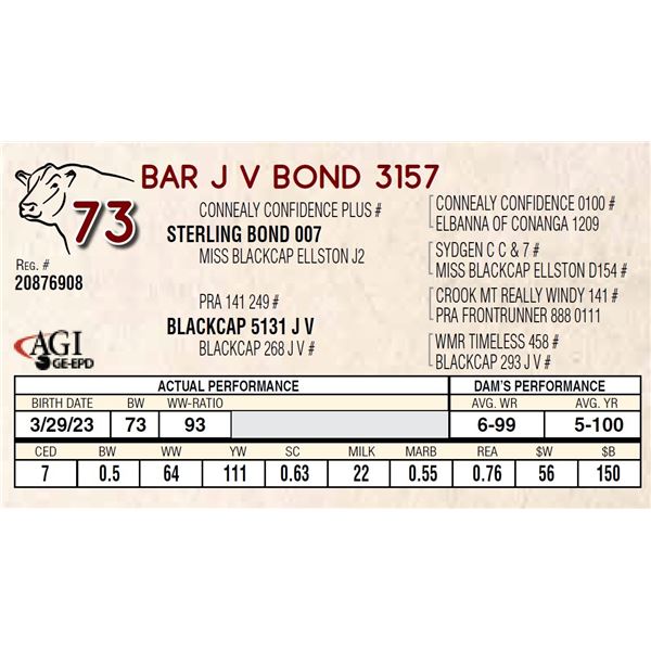 BAR J V BOND 3157