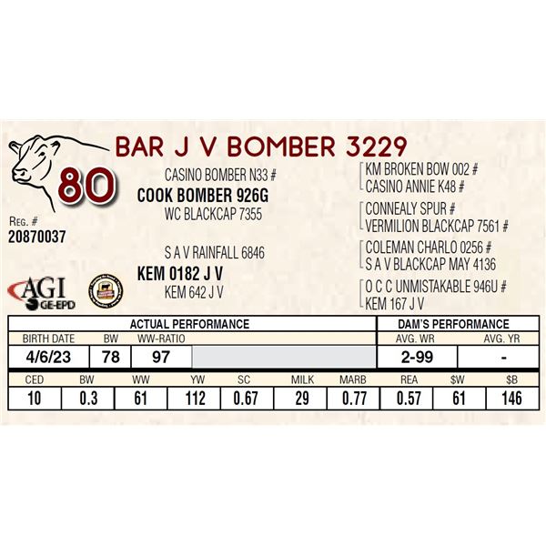 BAR J V BOMBER 3229
