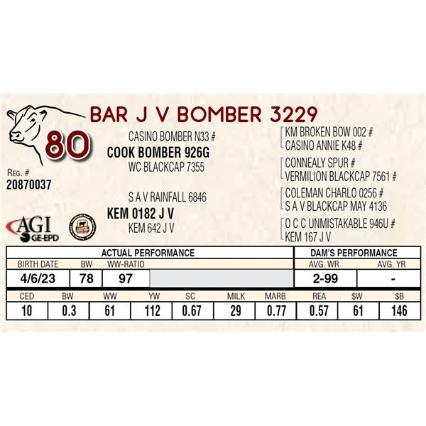 BAR J V BOMBER 3229