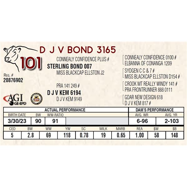 D J V BOND 3165