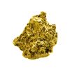 Image 1 : 1.51 Gram Mexico Gold Nugget