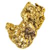 Image 1 : 1.23 Gram Mexico Gold Nugget
