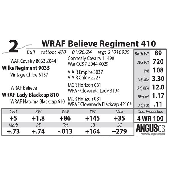 WRAF Believe Regiment 410