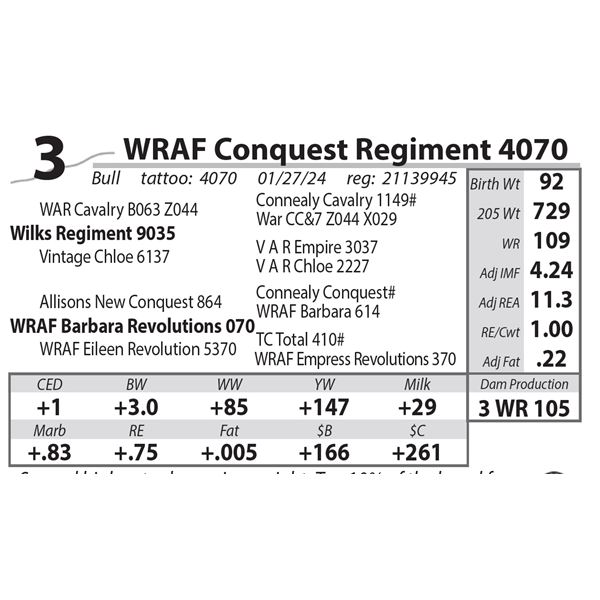 WRAF Conquest Regiment 4070